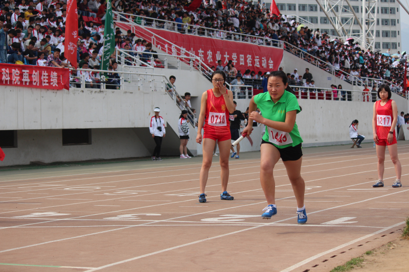 学生女子组4X100米决赛